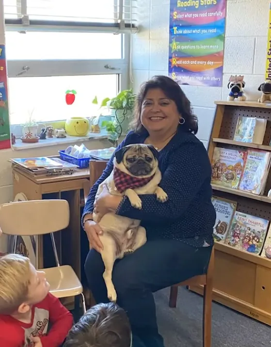 A pug sitting on an adult's lap in a classroom while young children look up and smile