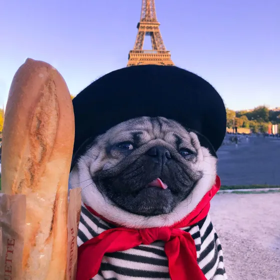 A pug wearing a black beret and red neckerchief beside a baguette, with the Eiffel Tower in the background